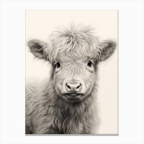 Black & White Illustration Of Baby Highland Cow 1 Canvas Print