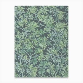 Japanese Black Pine 2 tree Vintage Botanical Canvas Print