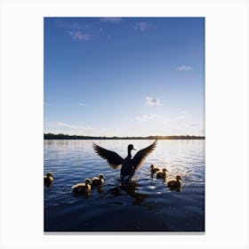 Mother Goose With Ducklings Canvas Print