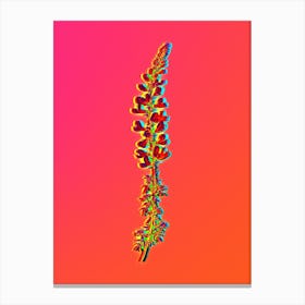 Neon Adenocarpus Botanical in Hot Pink and Electric Blue n.0018 Canvas Print
