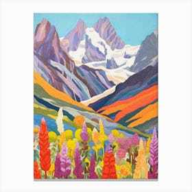 Mount Cook New Zealand 3 Colourful Mountain Illustration Canvas Print