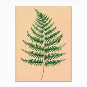 Boston Fern Plant Minimalist Illustration 1 Canvas Print