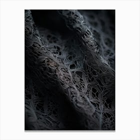 An Up Close View Of An Intricate Lace Texture Detailing The Fine Mesh Of Interwoven Fibers Contras (3) Canvas Print