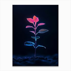 Neon Plant In The Dark 2 Canvas Print