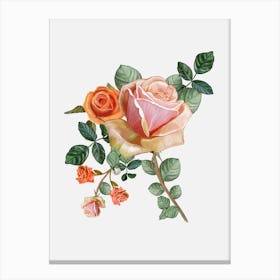 Heirloom Orange Roses Canvas Print