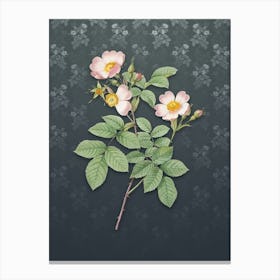 Vintage Short Styled Field Rose Botanical on Slate Gray Pattern n.0719 Canvas Print