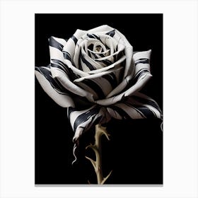 Black And White Rose 1 Canvas Print