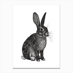 English Spot Blockprint Rabbit Illustration 4 Canvas Print