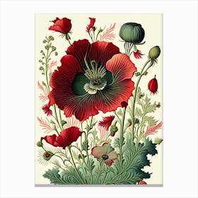 Poppy 2 Floral Botanical Vintage Poster Flower Canvas Print