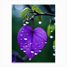 Raindrops On A Purple Leaf Canvas Print