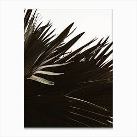 Windy Palm Tree Canvas Print