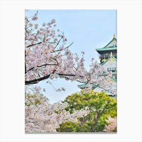Cherry Blossoms In Japan Canvas Print