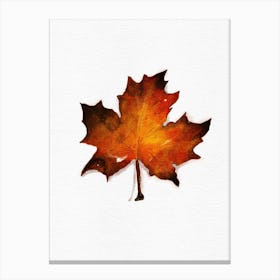 Maple Leaf Canvas Print