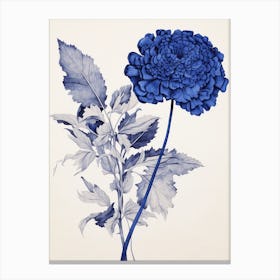 Blue Botanical Celosia Canvas Print