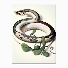 Eastern Ribbon Snake Vintage Canvas Print