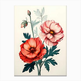 Two Red Poppies Canvas Print