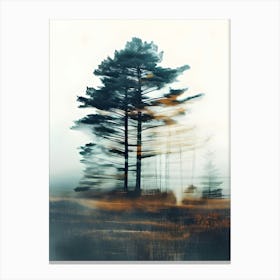 Pine Tree In The Fog Canvas Print