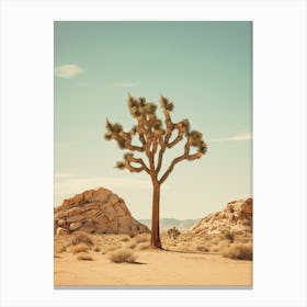  Photograph Of A Joshua Tree In Rocky Mountains 1 Canvas Print