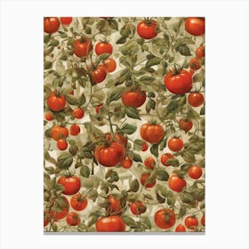 Tomato Plants Canvas Print