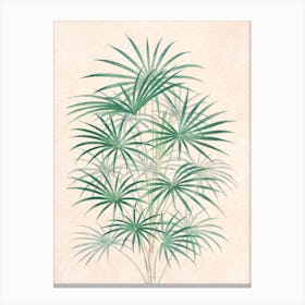 Vintage Tropical Palm I Canvas Print