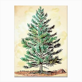 Douglas Fir Tree Storybook Illustration 3 Canvas Print