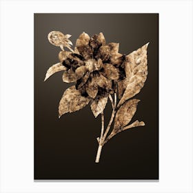 Gold Botanical Double Dahlias on Chocolate Brown n.2525 Canvas Print