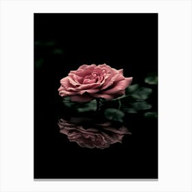 Rose In Water Canvas Print