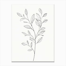 Leafy Branch Canvas Print