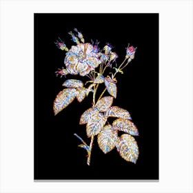Stained Glass Harsh Downy Rose Mosaic Botanical Illustration on Black Canvas Print