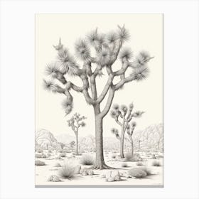  Detailed Drawing Of A Joshua Trees At Dusk In Desert 2 Canvas Print