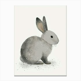 English Silver Rabbit Nursery Illustration 1 Canvas Print