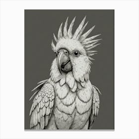 Cockatoo 7 Canvas Print