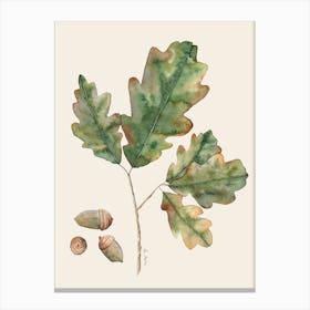 Oak Leaves Canvas Print