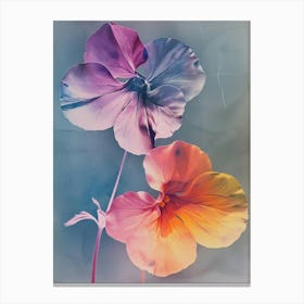 Iridescent Flower Nasturtium 2 Canvas Print