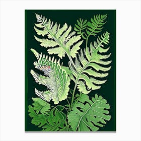 Maidenhair Fern 1 Vintage Botanical Poster Canvas Print