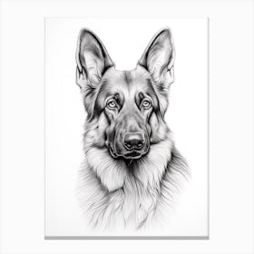 German Shepherd Dog, Line Drawing 3 Canvas Print
