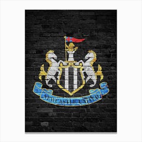 Newcastle United 3 Canvas Print