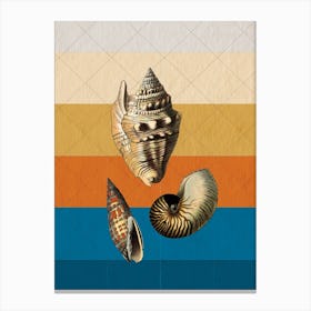 Seashell Canvas Print