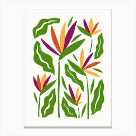 Bird Of Paradise Canvas Print