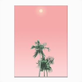 Palm Trees, Sun and Sky Canvas Print