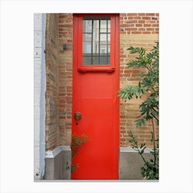 Red Door Canvas Print