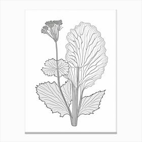 Coltsfoot Herb William Morris Inspired Line Drawing 2 Canvas Print