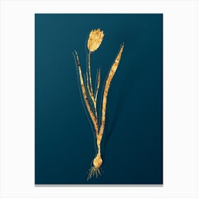 Vintage Lady Tulip Botanical in Gold on Teal Blue n.0270 Canvas Print