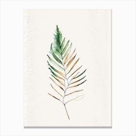 Cedar Leaf Minimalist Watercolour 2 Canvas Print