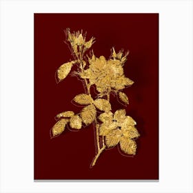 Vintage Autumn Damask Rose Botanical in Gold on Red Canvas Print
