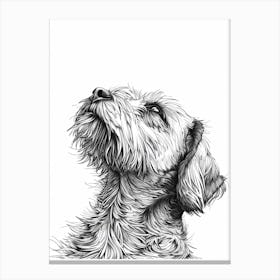 Petit Basset Griffon Vendeen Dog Line Sketch Canvas Print
