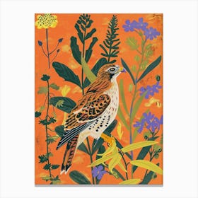 Spring Birds Hawk 1 Canvas Print