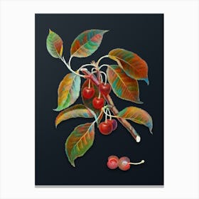 Vintage Sour Cherry Botanical Watercolor Illustration on Dark Teal Blue n.0021 Canvas Print