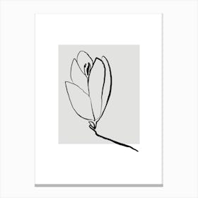 Tulip Canvas Print