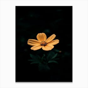 Yellow Flower 2 Canvas Print